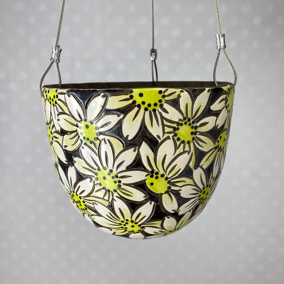 Medium Hanging Planter | 5.5 inch | Assorted