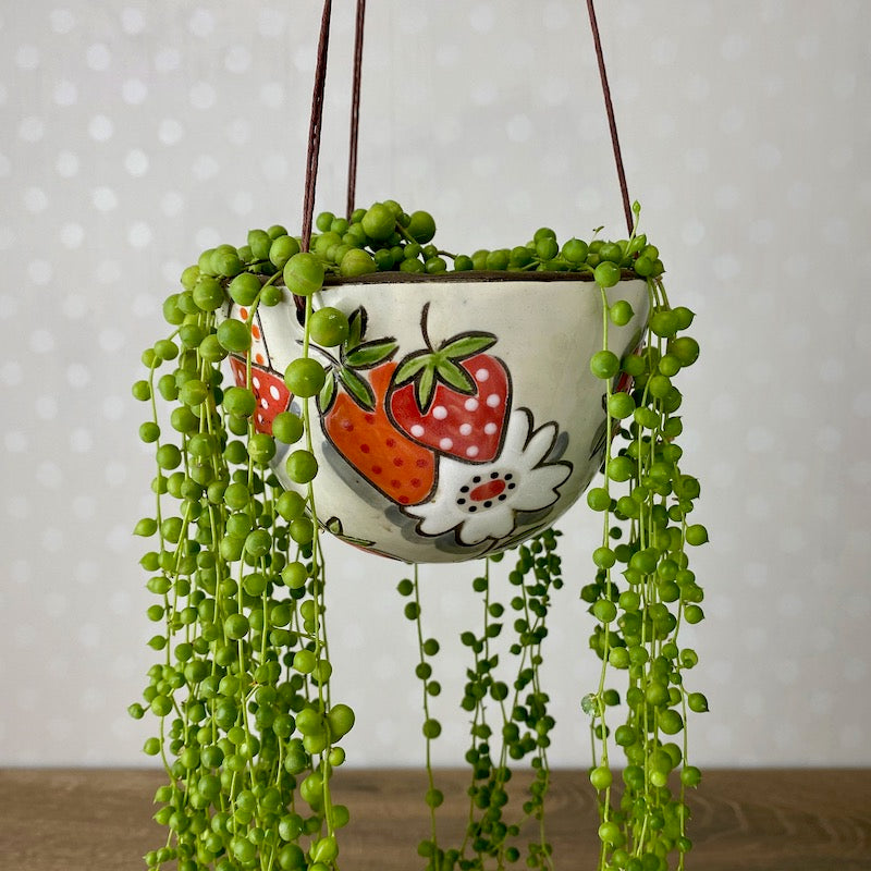 indoor hanging succulent planter Assorted Small Hanging Planters in Vibrant Hand Painted Patterns – Colleen McCall Ceramics