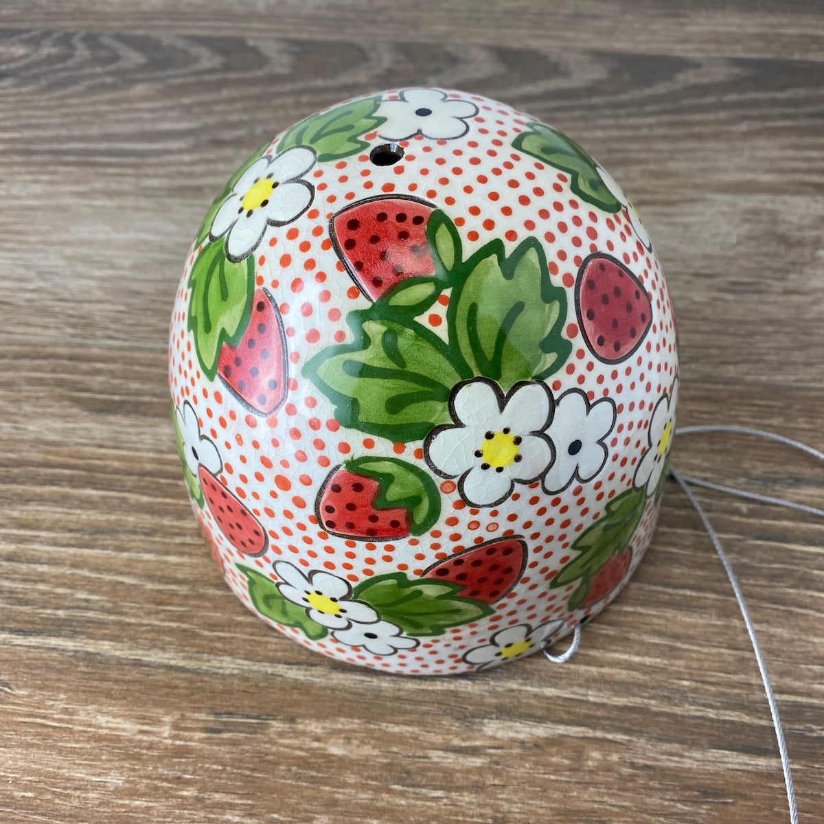 Medium Hanging Planter | 5.5 inch | Assorted