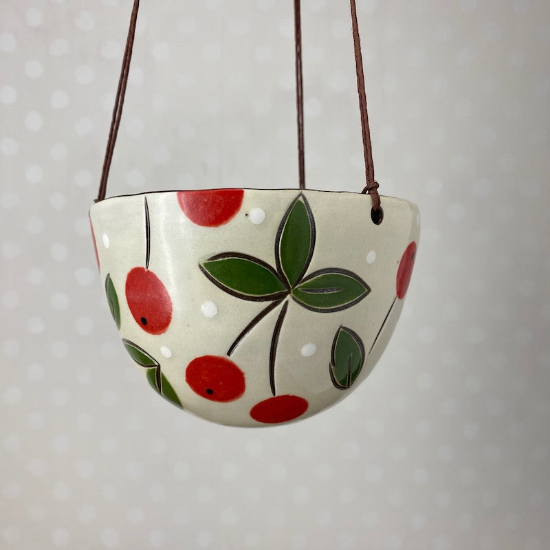 Small Hanging Planter | 4.5 inch | Assorted